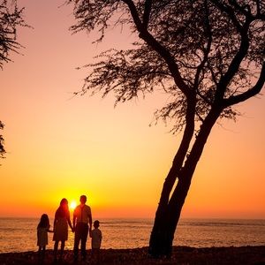 Meet your Posher, Shirley